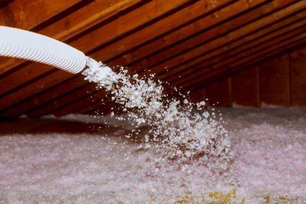 Best Insulation Maintenance and Repair in Sunset, LA