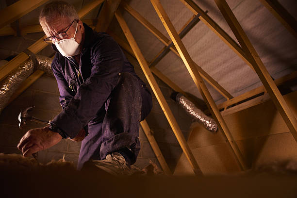 Best Fiberglass Insulation in Sunset, LA